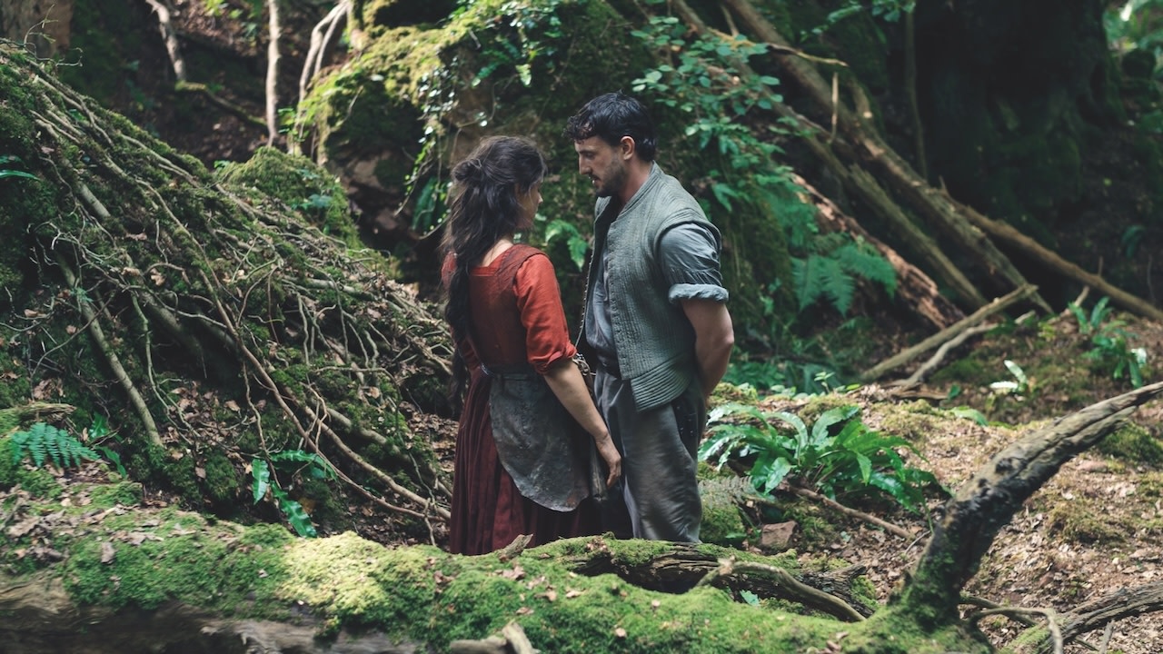 A guide to the most exciting fall 2025 movies